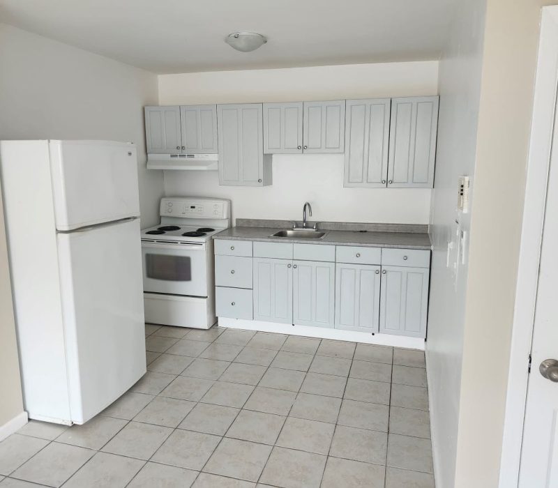 Renovation Services Toronto – Condo Kitchen Renovation